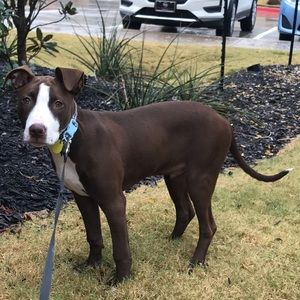 Meet your Posher, Luke